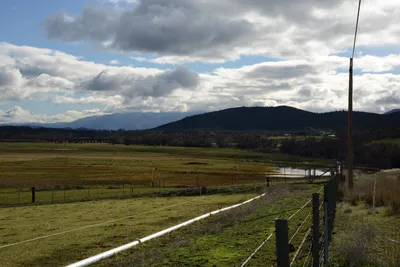 DSC_1014 (Large).JPG